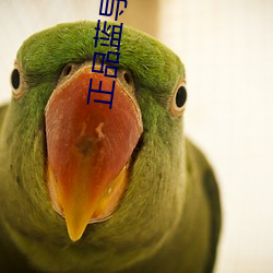 正品蓝导航永久福利在线视