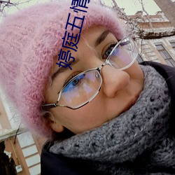 婷(婷)庭五情天综(綜)小说(說)