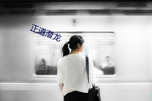 正(正)道潜龙