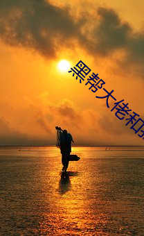 黑帮大佬和我的365日第3季