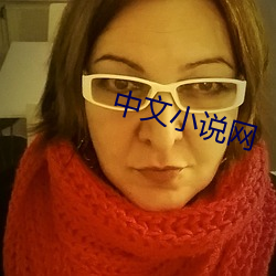 中文小说网