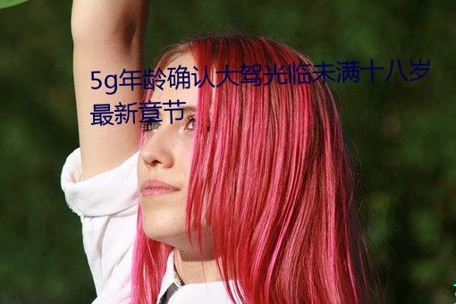 5g年龄确认大(dà)驾(jià)光临未满十八(bā)岁最新章节