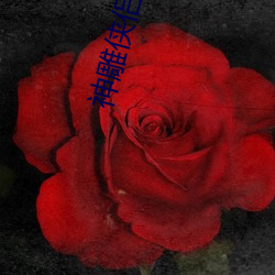 神(神)雕侠侣(侶)之我(我)是杨(楊)过(過)