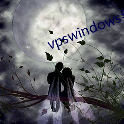 vpswindows另类极品