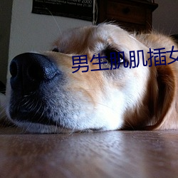 男生肌肌插女生肌肌軟件下