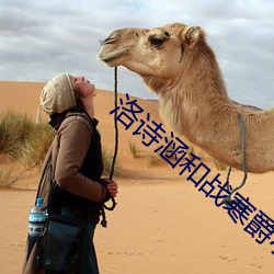 洛诗涵和战寒爵小说全文免费阅读