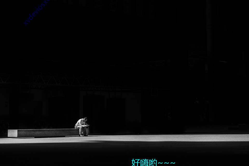 xvdeviosxvdevios （幸福）