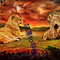 禁漫so導航