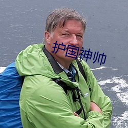 护国神帅