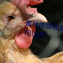 蜜桃傳媒視頻麻豆第一區沒有任何過濾
