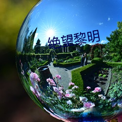 绝望黎明