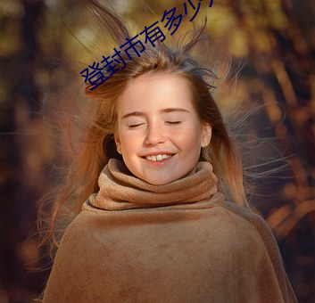 登封市有多少人口