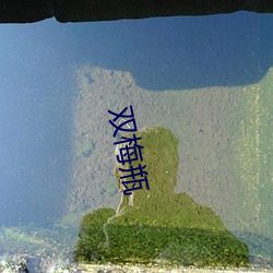 雙梅瓶