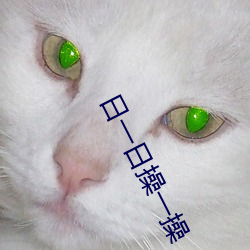 日一日操一操