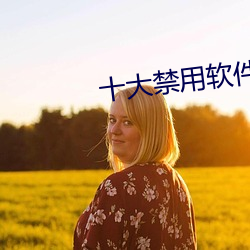 十大禁用軟件app排行榜