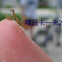 精品卡一卡2卡3卡4分類狼群