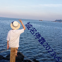 域名停靠2023v5.9.65