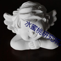 水蜜桃研究所人口