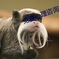 免(免)费心理咨询在(在)线(線)聊天(天)