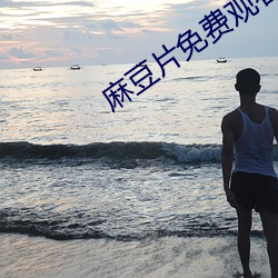 麻(麻)豆片免费观看在线看