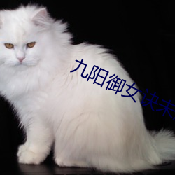 九(jiǔ)阳御女诀(jué)未删(shān)节txt小说(shuō)