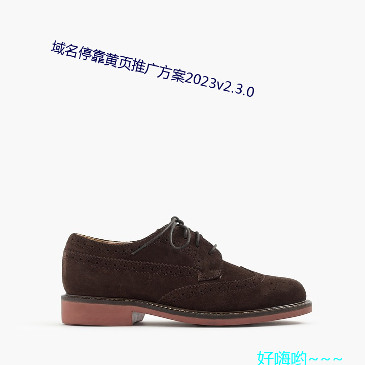 域名停靠黄页推广方案2023v2.3.0