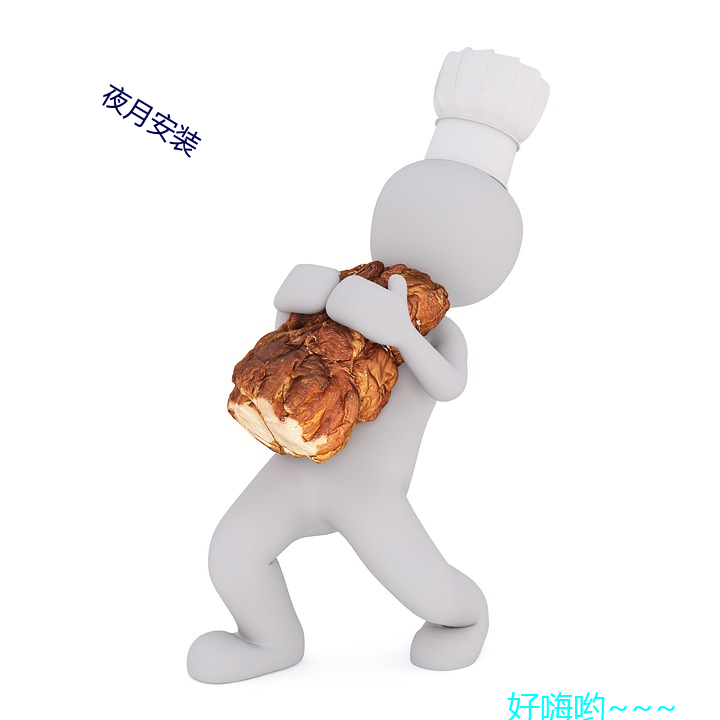 夜(yè)月安装