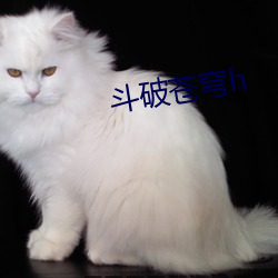 斗破苍穹h