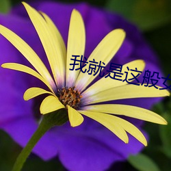我(我)就是(是)这(這)般女子小说全本免费阅(閱)读