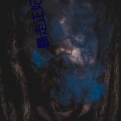 暴走正妃要休夫
