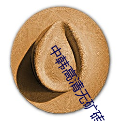 中韩高(gāo)清无矿砖码区视(shì)频