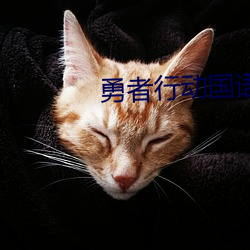 勇者行动国语在(zài)线观看免费