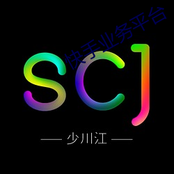 快手业务平台