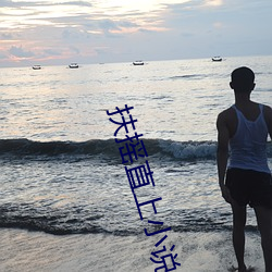 扶摇直上小说