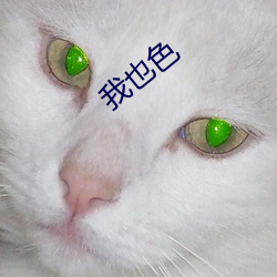 我也色