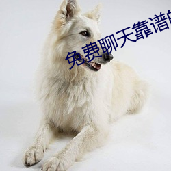 免費聊天靠譜的軟件