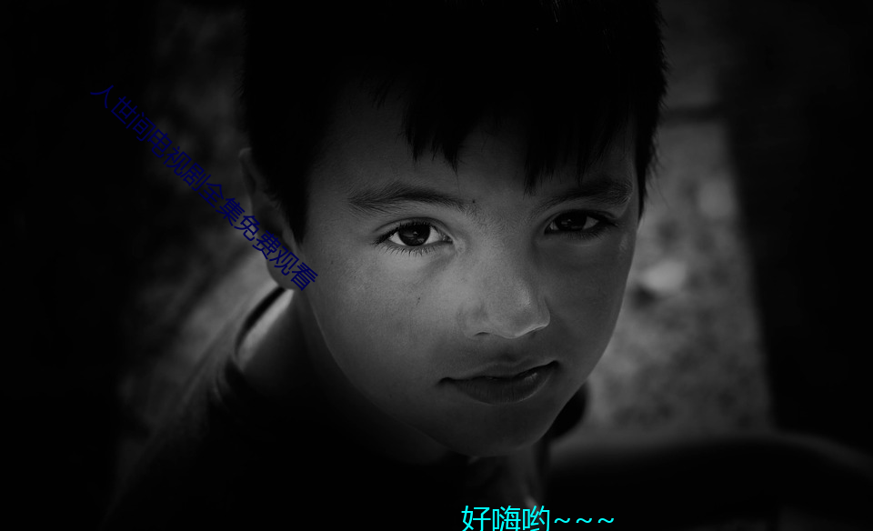人世间电视剧全集(集)免费观看(看)