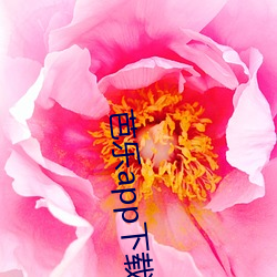芭乐app下载免费下载安装