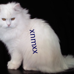 xnmxx