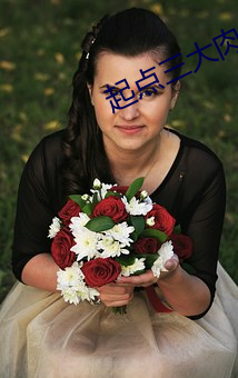 起点(點)三(三)大肉x器张傲雪是什