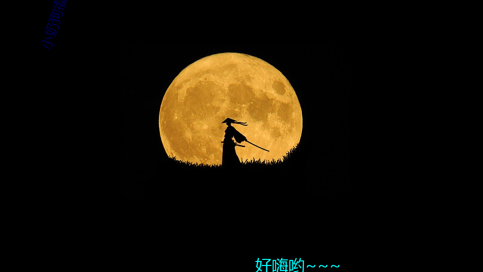 小奶(奶)狗福(福)建导(導)航(航)app入口(口)