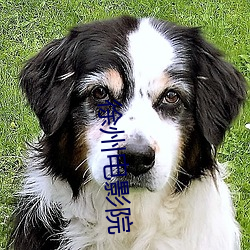 徐州电(電)影院