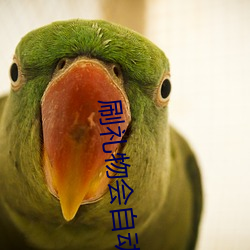 刷禮物會自動震動的直播