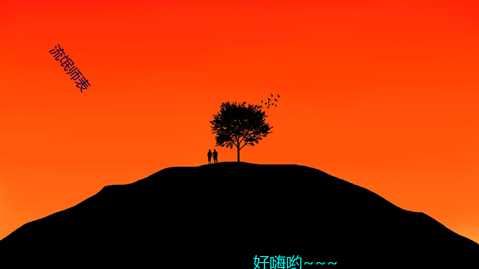 流(流)氓师表