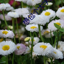 想包个(個)大学生花(花)多少钱(錢)