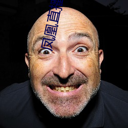 鳳凰直播app免費下載