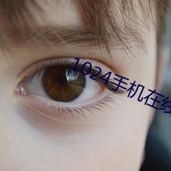 1024手机在线观看旧版国产