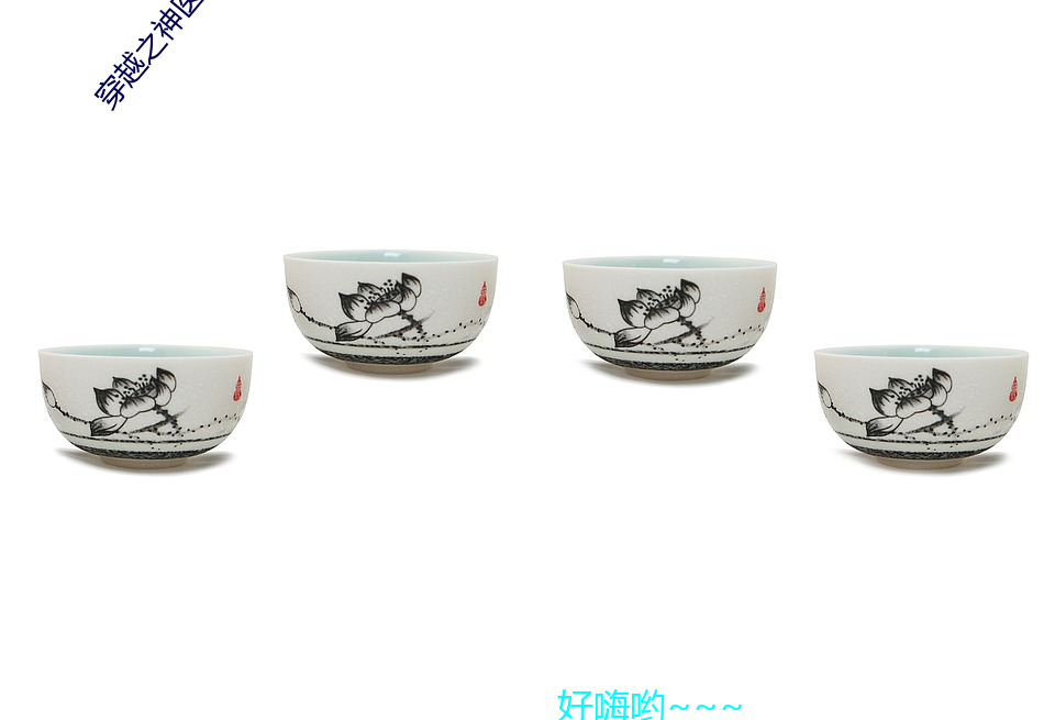 穿越之神医王妃