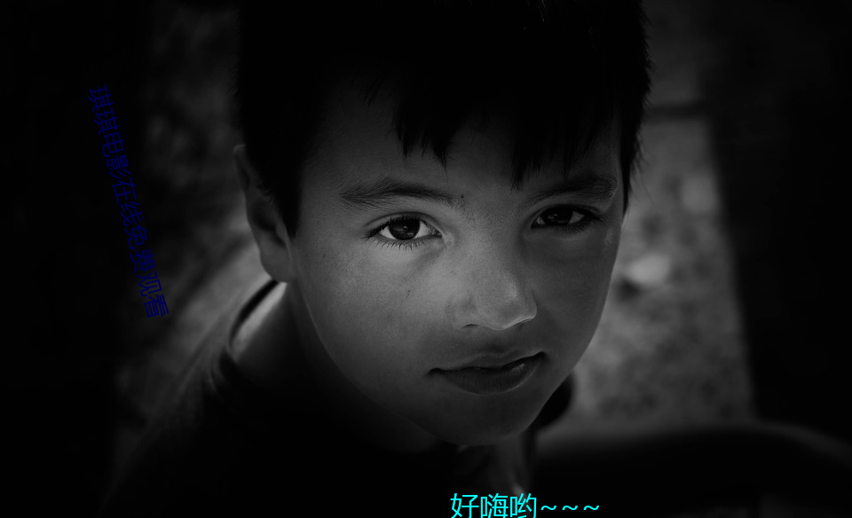 琪琪电影(影)在线免费(費)观(觀)看(看)