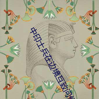 中(中)印士兵在边境(境)互致问候交